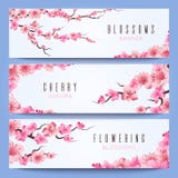 Het malplaatje van huwelijksbanners met sakura van de lentejapan, kersenbloesem royalty-vrije illustratie Het malplaatje van huwelijksbanners met sakura van de lentejapan, kersenbloesem royalty-vrije illustratie