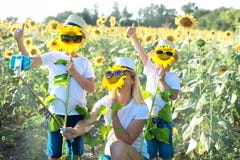Het mamma en de zonen lopen rond het gebied met zonnebloemen Een gelukkige dag royalty-vrije stock afbeelding Het mamma en de zonen lopen rond het gebied met zonnebloemen Een gelukkige dag royalty-vrije stock afbeelding