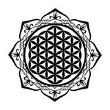 Het Mandalakader en de Bloem van het Leven tatoeëren of stencilen malplaatje, de Heilige Alchimie van het meetkundesymbool, spiri royalty-vrije illustratie Het Mandalakader en de Bloem van het Leven tatoeëren of stencilen malplaatje, de Heilige Alchimie van het meetkundesymbool, spiri royalty-vrije illustratie