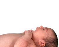 Het Meisje dat van de Baby van de zuigeling omhoog kijkt stock afbeeldingen Het Meisje dat van de Baby van de zuigeling omhoog kijkt stock afbeeldingen