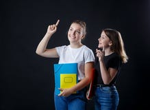 Het meisje van school colledge tieners met stationaire boekennotitieboekjes stock afbeelding Het meisje van school colledge tieners met stationaire boekennotitieboekjes stock afbeelding