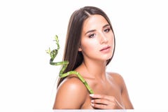 Het mooie jonge meisje in de studio op een witte achtergrond houdt een groen tropisch blad in handen en dekking een deel van haar stock fotografie Het mooie jonge meisje in de studio op een witte achtergrond houdt een groen tropisch blad in handen en dekking een deel van haar stock fotografie