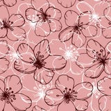 Het naadloze patroon van de kersenbloesem op roze achtergrond royalty-vrije illustratie Het naadloze patroon van de kersenbloesem op roze achtergrond royalty-vrije illustratie