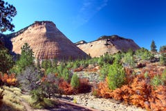 Het Nationale Park Mesa - Zion van het schaakbord royalty-vrije stock foto's Het Nationale Park Mesa - Zion van het schaakbord royalty-vrije stock foto's