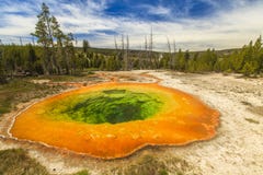 Het Nationale Park van Yellowstone stock afbeelding Het Nationale Park van Yellowstone stock afbeelding
