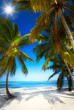 Het Onaangeroerde tropische strand van de kunstzomer royalty-vrije stock foto Het Onaangeroerde tropische strand van de kunstzomer royalty-vrije stock foto