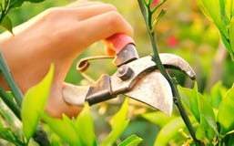 Het onderhoud van het landschap Het onderhoud van het landschap