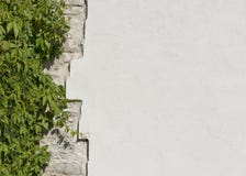 Het oude uitstekende kalksteen en de witte gepleisterde muur dat overgre stock foto Het oude uitstekende kalksteen en de witte gepleisterde muur dat overgre stock foto