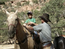 Het paard drijft bij Nationaal Park Zion bijeen royalty-vrije stock afbeelding Het paard drijft bij Nationaal Park Zion bijeen royalty-vrije stock afbeelding