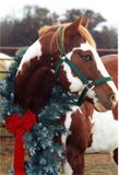 Het Paard van Kerstmis