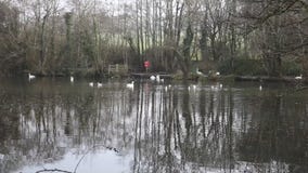 Het Park Cornwall Engeland het UK van het Tehidyland stock footage Het Park Cornwall Engeland het UK van het Tehidyland stock footage