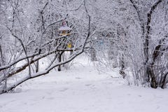Het park van de winter ulyanovsk royalty-vrije stock foto Het park van de winter ulyanovsk royalty-vrije stock foto