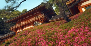 Het Park van Maruyama in Gion - Japan stock fotografie Het Park van Maruyama in Gion - Japan stock fotografie