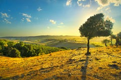 Het plattelandspanorama van Toscanië en winderige olijfboom op zonsondergang Pisa, Italië royalty-vrije stock afbeeldingen Het plattelandspanorama van Toscanië en winderige olijfboom op zonsondergang Pisa, Italië royalty-vrije stock afbeeldingen