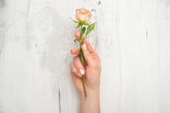 Het portretvrouw van de manierkunst ter beschikking en bloemen ter beschikking met heldere contrastmake-up Creatieve schoonheid v stock foto's Het portretvrouw van de manierkunst ter beschikking en bloemen ter beschikking met heldere contrastmake-up Creatieve schoonheid v stock foto's