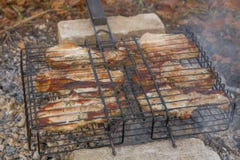 Het roosteren van tijdgrill, tuin, groen gras en goed weer stock afbeelding Het roosteren van tijdgrill, tuin, groen gras en goed weer stock afbeelding