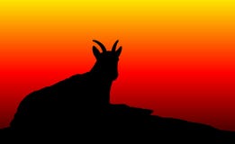 Het Silhouet van schapen stock illustratie Het Silhouet van schapen stock illustratie