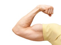 Het sterke mannelijke wapen toont bicepsen stock afbeeldingen Het sterke mannelijke wapen toont bicepsen stock afbeeldingen