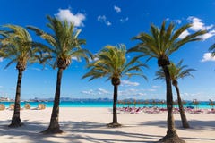 Het strand van Mallorca Platja DE Alcudia in Majorca stock foto Het strand van Mallorca Platja DE Alcudia in Majorca stock foto