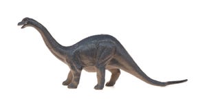 Het stuk speelgoed van zijaanzichtdiplodocus op witte achtergrond stock afbeeldingen Het stuk speelgoed van zijaanzichtdiplodocus op witte achtergrond stock afbeeldingen