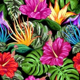 Het tropische Vector Textielontwerp van Flora Summer Mood Seamless Pattern stock illustratie Het tropische Vector Textielontwerp van Flora Summer Mood Seamless Pattern stock illustratie