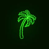 Het vectorteken van de Neonpalm, Reisconcept, Tropische Exotische Geïsoleerde Installatie stock illustratie Het vectorteken van de Neonpalm, Reisconcept, Tropische Exotische Geïsoleerde Installatie stock illustratie