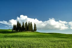 Het verbazende landschap van Toscani? Groen gras, blauwe hemel, cipresbomen stock foto's Het verbazende landschap van Toscani? Groen gras, blauwe hemel, cipresbomen stock foto's