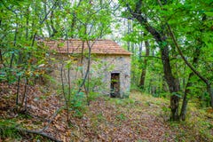 Het verlaten huis in het hout stock afbeelding Het verlaten huis in het hout stock afbeelding