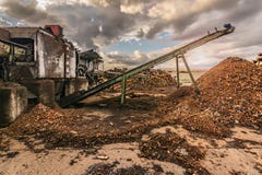 Het vervoer van pijnboom opent een zaagmolen voor verwerking en korrelverwerking het programma stock afbeeldingen Het vervoer van pijnboom opent een zaagmolen voor verwerking en korrelverwerking het programma stock afbeeldingen