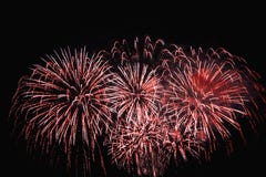 Het vieren met het schitterende rode vuurwerk stock afbeeldingen Het vieren met het schitterende rode vuurwerk stock afbeeldingen