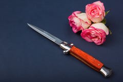 Het vouwen van mes met een oranje handvat op een blauwe achtergrond met rozen royalty-vrije stock afbeelding Het vouwen van mes met een oranje handvat op een blauwe achtergrond met rozen royalty-vrije stock afbeelding