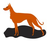 Het Web bevlekte Engelse wijzers Vectordieillustratie op de witte achtergrond wordt ge?soleerd royalty-vrije illustratie Het Web bevlekte Engelse wijzers Vectordieillustratie op de witte achtergrond wordt ge?soleerd royalty-vrije illustratie