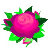 Het Web Purpere Blauwe Rose Flower, Sexy en mooi en nam knop die op witte achtergrond wordt geïsoleerd toe Vector illustratie vector illustratie Het Web Purpere Blauwe Rose Flower, Sexy en mooi en nam knop die op witte achtergrond wordt geïsoleerd toe Vector illustratie vector illustratie