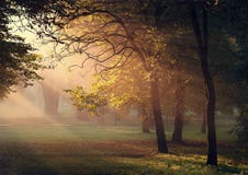 Het Wekken van de herfst Zonstralen in het de herfstpark stock fotografie Het Wekken van de herfst Zonstralen in het de herfstpark stock fotografie