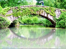 Het wijzen van het op Central Park van Ivy Covered Gapstow Bridge New York stock afbeelding Het wijzen van het op Central Park van Ivy Covered Gapstow Bridge New York stock afbeelding
