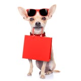 Het winkelen hond stock afbeeldingen Het winkelen hond stock afbeeldingen