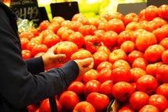 Het winkelen van de kruidenierswinkel stock foto Het winkelen van de kruidenierswinkel stock foto