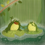 Het zingen in de regen Het zingen in de regen