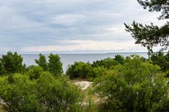 het zonnige de zomer voetpad van de wandelingssleep in het hout voor toeristen stock afbeeldingen het zonnige de zomer voetpad van de wandelingssleep in het hout voor toeristen stock afbeeldingen
