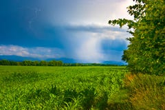 Het zonnige en regenachtige landschap van de lente stock foto's Het zonnige en regenachtige landschap van de lente stock foto's
