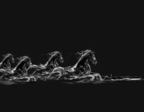 Het zwarte Galopperen van de Paarden van het Water
