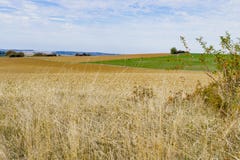 Heuen Sie Landschaft entlang touristischer Weg romantischer Straße, Deutschland stockfoto Heuen Sie Landschaft entlang touristischer Weg romantischer Straße, Deutschland stockfoto