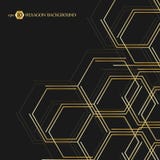Hexagonal geometric background. Vector connection with lines and social network. Business presentation for your design vector illustration Hexagonal geometric background. Vector connection with lines and social network. Business presentation for your design vector illustration