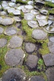 Hexagonale rotsen bij Reuzenverhoogde weg, Noord-Ierland royalty-vrije stock afbeeldingen Hexagonale rotsen bij Reuzenverhoogde weg, Noord-Ierland royalty-vrije stock afbeeldingen