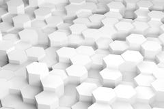 Hexe Forest Background vektor abbildung Hexe Forest Background vektor abbildung