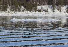Hielo que deriva en el río foto de archivo Hielo que deriva en el río foto de archivo