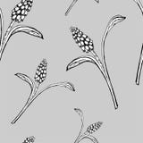 Hierbas florales de la pizca del ejemplo del vector ilustración del vector Hierbas florales de la pizca del ejemplo del vector ilustración del vector