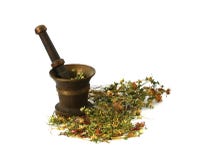 hierbas herbarias, medicinales, hierbas para la brujería fotografía de archivo libre de regalías hierbas herbarias, medicinales, hierbas para la brujería fotografía de archivo libre de regalías