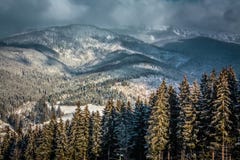 Carpathian snow storm royalty free stock photography Carpathian snow storm royalty free stock photography