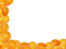 High Resolution Tangerine Frame Royalty Free Stock Photo High Resolution Tangerine Frame Royalty Free Stock Photo